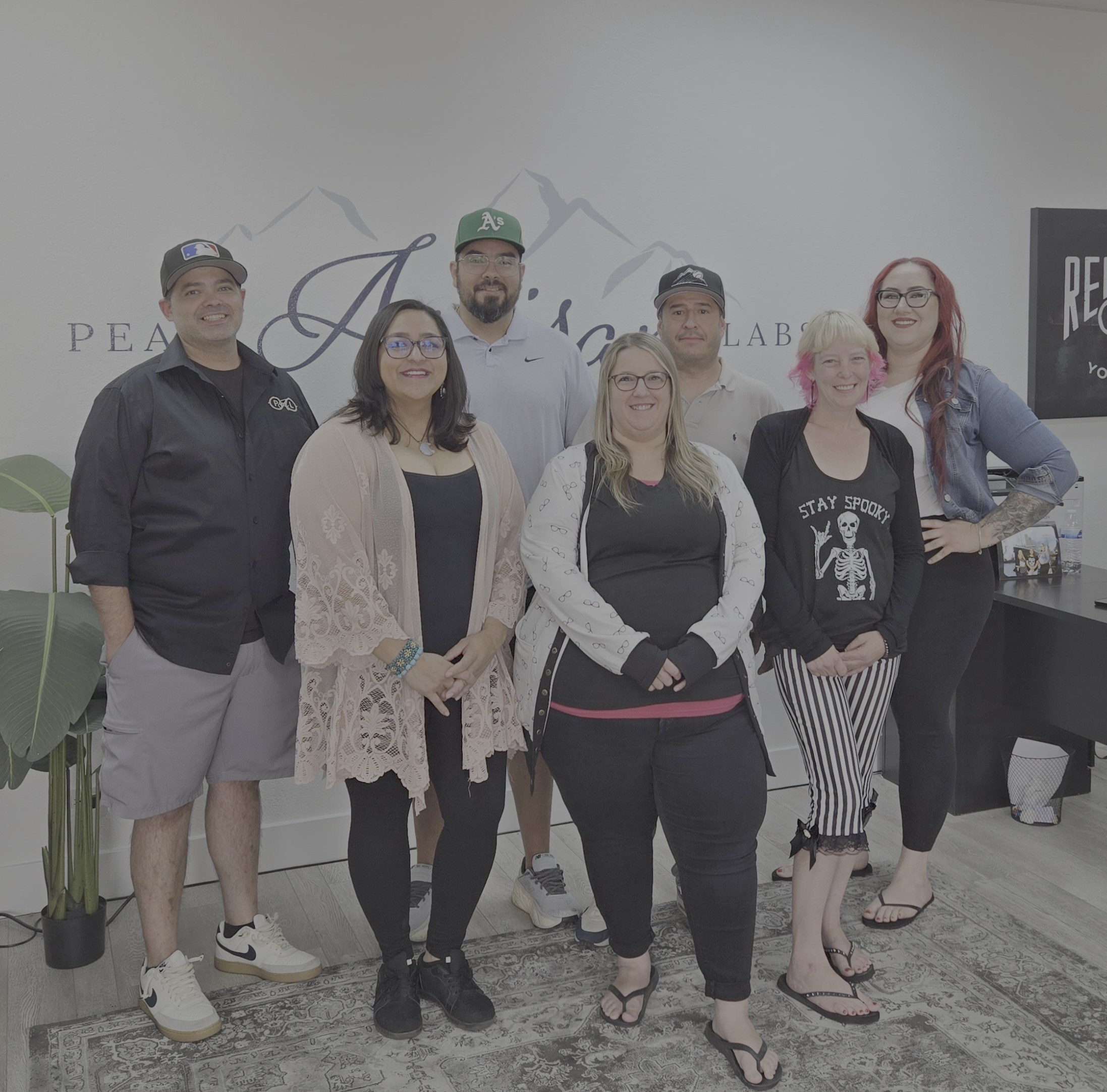 Peak Artisan Labs team